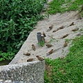 Image00124.jpg