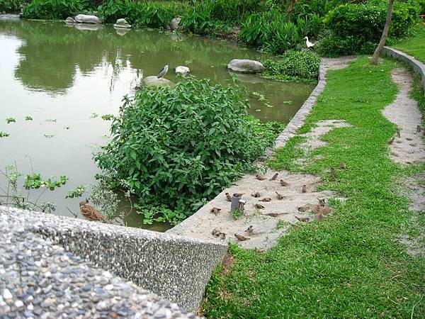 Image00125.jpg