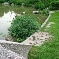 Image00125.jpg