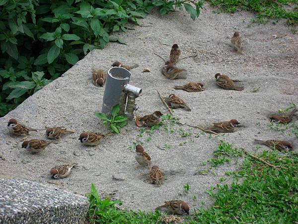 Image00126.jpg