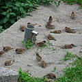 Image00126.jpg