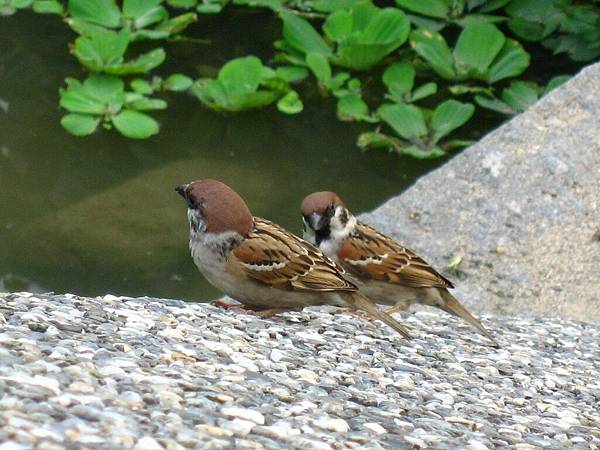 Image00127.jpg