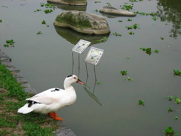 Image00129.jpg