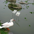 Image00129.jpg