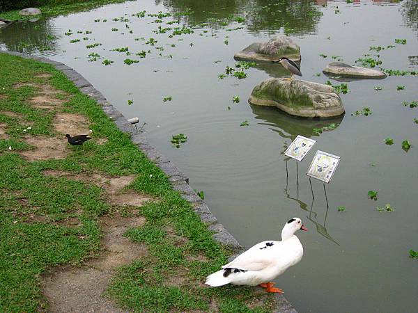 Image00130.jpg