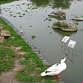 Image00130.jpg