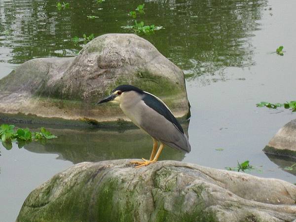 Image00131.jpg