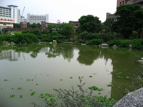 Image00132.jpg