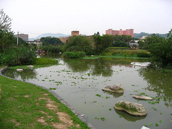 Image00133.jpg