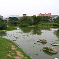 Image00133.jpg