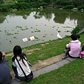 Image00135.jpg