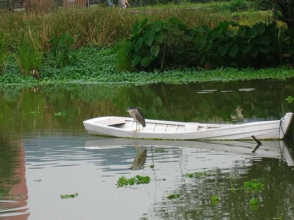 Image00137.jpg