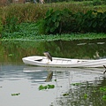 Image00137.jpg