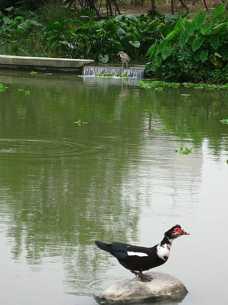 Image00139.jpg