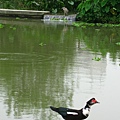 Image00139.jpg
