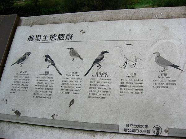 Image00140.jpg