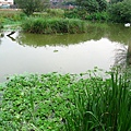 Image00141.jpg