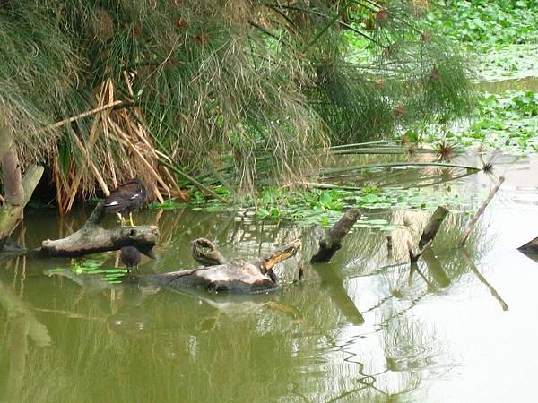 Image00142.jpg