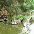 Image00142.jpg