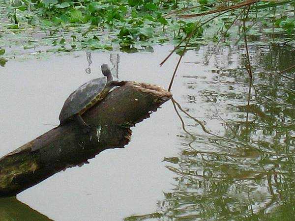 Image00143.jpg