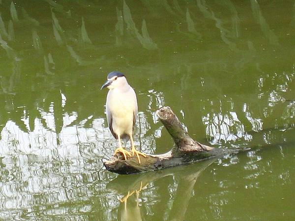 Image00144.jpg