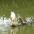Image00144.jpg