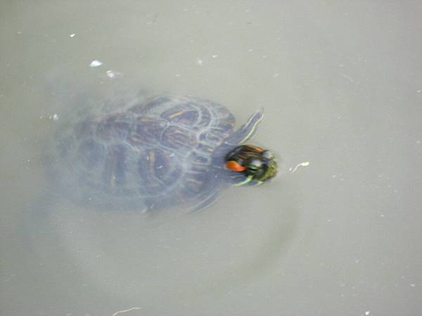 Image00147.jpg