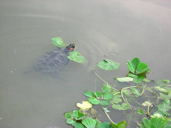 Image00148.jpg