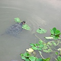 Image00148.jpg