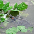 Image00151.jpg