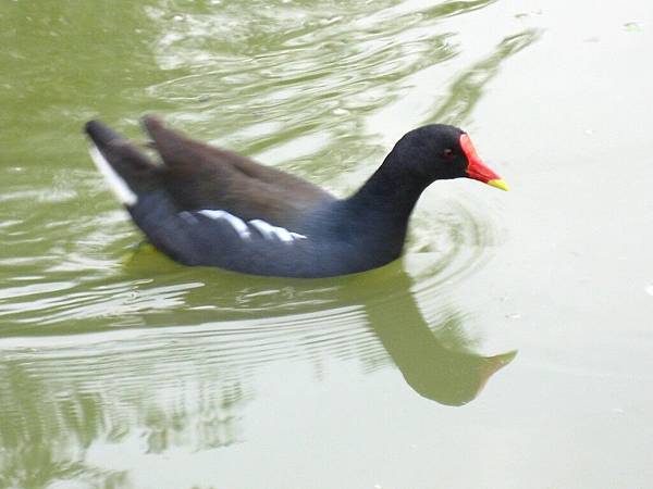 Image00152.jpg