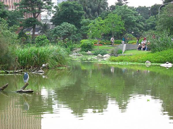Image00155.jpg