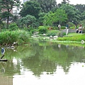 Image00155.jpg