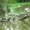 Image00157.jpg