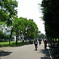 Image00076.jpg