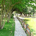 Image00084.jpg