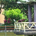 Image00085.jpg