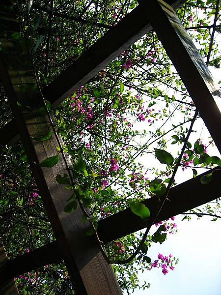 Image00087.jpg