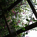 Image00087.jpg