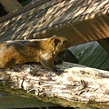 Image00091.jpg