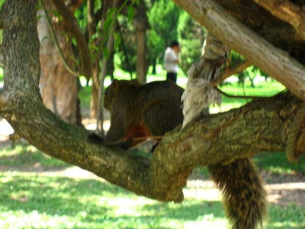 Image00093.jpg