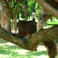 Image00093.jpg