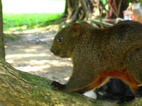 Image00094.jpg