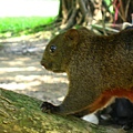Image00094.jpg