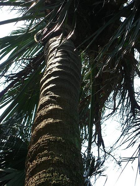 Image00095.jpg