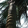 Image00095.jpg