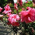 Image00096.jpg