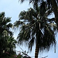 Image00097.jpg