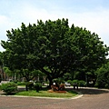 Image00106.jpg