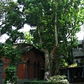 Image00123.jpg